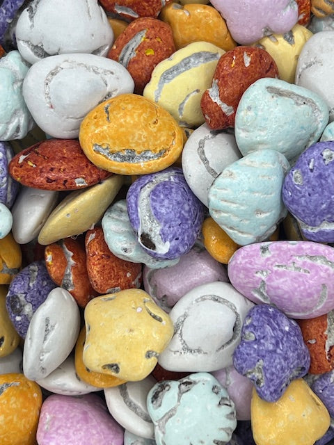 Chocolate Sea Shells