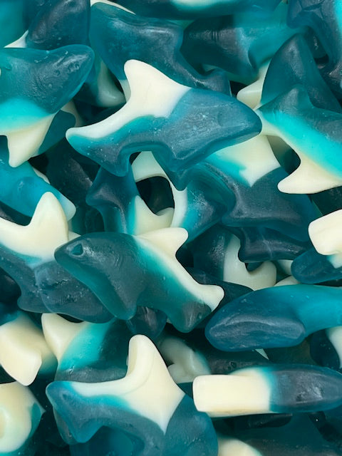 Gummy Sharks